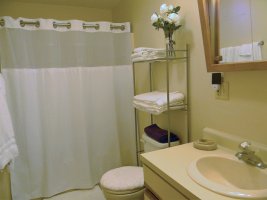 Bathroom - 2 bedroom